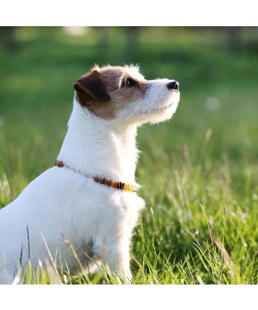 B-A-L Baltic Amber & African Jade Pet Flea & Tick Chain for Dogs & Cats | 25-65 cm - Buy Online on SooperMarket.com