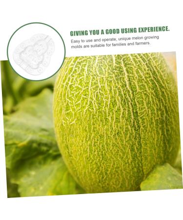 Milisten Gardening Tools 6 pcs Watermelon Mould Tools Clear Supplies Growing Garden Vegetable Multifunction Moldvegetable Transparentx2pcs 9x8cmx2pcs - Buy Online on SooperMarket.com