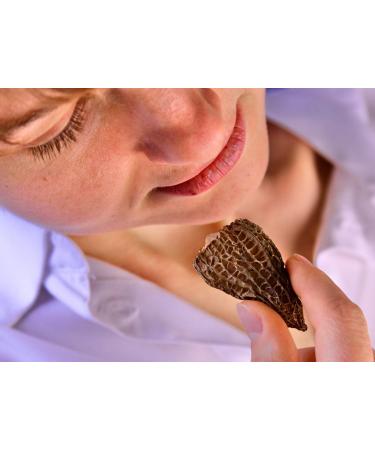 Morel Mushrooms Popular Choice CAPS (2-6 cm) - no Tails - Hand Picked Sun-Dried (30 gr) 30.0 grams - Buy Online on SooperMarket.com
