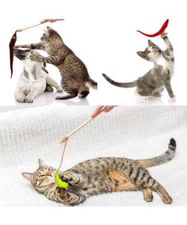 Happy Will 64 Pcs Worm on String Fuzzy Wiggly Funny Toys for Kids Cat - Carnival Party Favors, Random Colors - Buy Online on SooperMarket.com