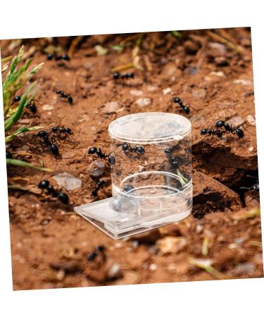 GRIRIW Pet Water Feeder Ant Water Feeders Ant Waterer Cup Water Feeding Cup for Ant Nest Clear Ants Feeder Ant Keeper Tools Ant Feeding Cup Ant Watering Cup Ant Keeping Ant Bottle Feeder - Buy Online on SooperMarket.com