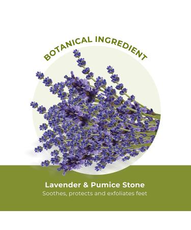 Yves Rocher Lavender & Pumice Foot Scrub - 2.5 Oz - Exfoliating Treatment - Buy Online on SooperMarket.com