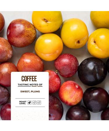 Lucky Cuppa Blue Mountain Coffee Beans Blend - Specialty Coffee Beans - Light Roast Whole Coffee Beans - Quality Coffee Gifts for Coffee Lovers - 1kg Bulk Bag - Buy Online on SooperMarket.com