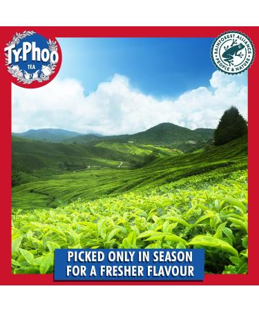 Typhoo Tea Extra Strong Orange Pekoe Tea 80 Count - Buy Online on SooperMarket.com