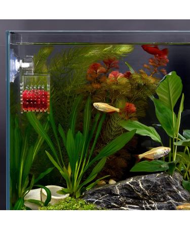 WEAVERBIRD Cone Red Worm Feeder | Acrylic V-Shape Shrimp Fish Tank Feeding Cup with Suction Cup - Buy Online on SooperMarket.com