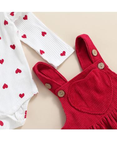 MoccyBabeLee Newborn Baby Girl Clothes Set | Long Sleeve Flower Bodysuit Romper + Corduroy Overall Dress | Infant Outfits 3-6 Months - Buy Online on SooperMarket.com
