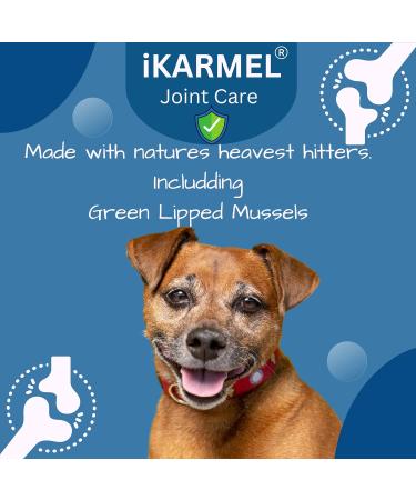iKarmel Hip and Joint Care Supplements for Dogs - Glucosamine, Chondroitin, Green-Lipped Mussels - Senior to Puppy Treats for Stiff Joints (180 Chews) - Buy Online on SooperMarket.com