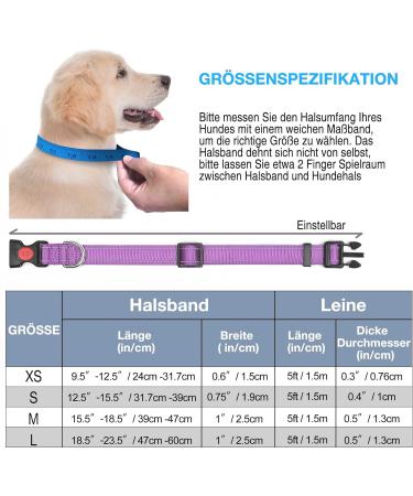 Shop Haapaw Reflective Dog Collar - Padded Neoprene & Breathable Nylon for Small Medium & Large Dogs - Purple (M 1 Pack) | International Shipping Available - Buy Online on SooperMarket.com