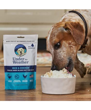 Under the Weather Easy to Digest Bland Dog Food Diet for Sick Dogs with Electrolytes - Gluten Free, All Natural, Freeze Dried - 6 Pack of Rice, Chicken & Bone Broth 6oz - Buy Online on SooperMarket.com