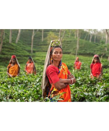 Assam TGFOP1 black tea decaffeinated Loose Leaf in the 100 g resealable bag - Buy Online on SooperMarket.com