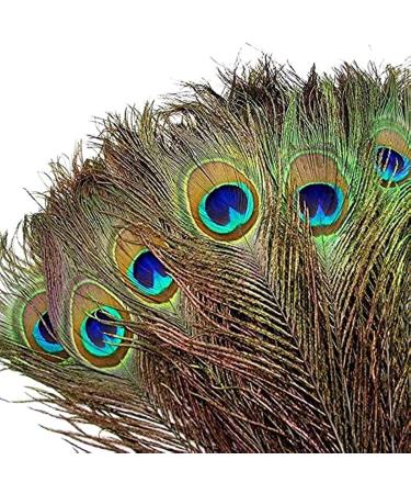 TinaWood 10PCS Real Natural Peacock Eye Feathers 9.8-11.8 inch for DIY Craft  Wedding Holiday Decoration