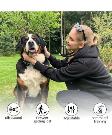 Byyt Ultrasound Dog Whistle - High Frequency Training Tool with Lanyard | Effective Bark Control & Dog Education - Buy Online on SooperMarket.com