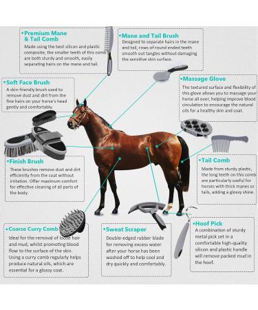 Harrison Howard Horse Grooming Kit 11-Piece Equine Care Series-Dark Charcoal - Buy Online on SooperMarket.com