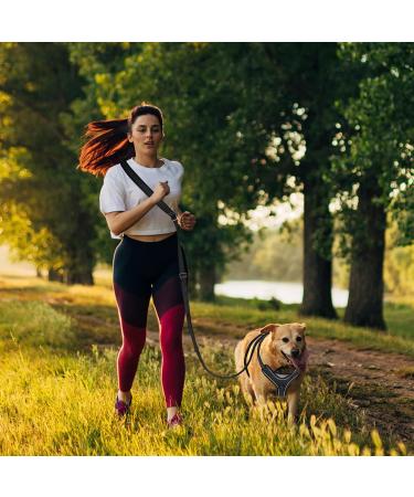 Buy Speelulu 1.8m - 3M Multifunctional Hands-Free Dog Leash | Adjustable Hip Belt & Shoulder Leash for Training Hiking & Running | International Shipping Available - Buy Online on SooperMarket.com