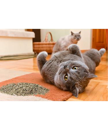 Maximum Potency Organic Catnip Blend - Premium Cat Weed for Crazy Cat Play - 1 Cup - Buy Online on SooperMarket.com