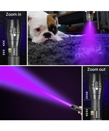 Darkbeam UV Flashlight 365/395nm - Portable Black Light Detector for Dog Urine Pet Spots & Banknote Identification - Mini Handheld LED Lamp - Buy Online on SooperMarket.com