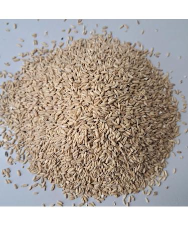 Mills Naked Oats 1000g - Whole Grain Oat Kernels Fresh from R tze Mill | Best Quality Oats for International Shipping - Buy Online on SooperMarket.com