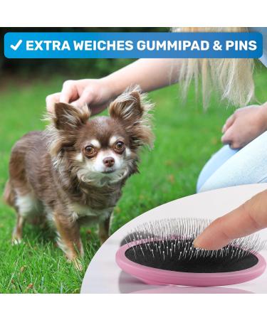 Bluepet Cat & Small Dog Brush | Gentle Undercoat Removal & Daily Fur Care - Mini Pink Rabbit Brush - Buy Online on SooperMarket.com