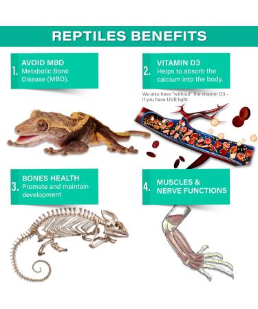 4oz Calcium with Vitamin D3 for Reptiles | Phosphorus-Free Ultrafine Powder | Real Fruit Blend Supplement for Lizards & Amphibians | Made in the USA - Buy Online on SooperMarket.com