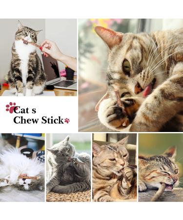 32 PCS Cat Toys Set - Interactive Variety Kitten Toys with Catnip, Feather Teaser, Crinkle Balls, and More - Buy Online on SooperMarket.com