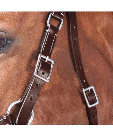 Shop WALDHAUSEN Star Bitless Bridle for Warmbloods Brown | International Shipping Available - Buy Online on SooperMarket.com