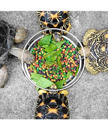 Stainless Steel Tortoise Feeder Food and Water Dish Feeding Bowl Turtle Food Dispenser(Big) - Buy Online on SooperMarket.com