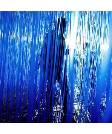PartyWoo 2 pcs Royal Blue Foil Fringe Curtains for Birthday Wedding Party Decorations - Buy Online on SooperMarket.com