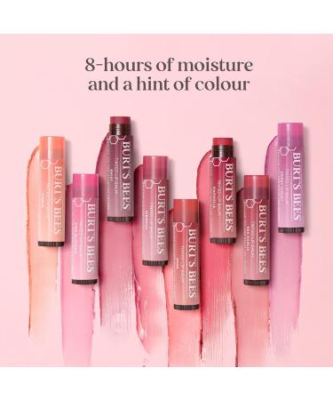 Burt's Bees Lip Care Multipack - Beeswax & Tinted Hibiscus Lip Balm Value Pack (2 x 4.25g) - Shop Internationally - Buy Online on SooperMarket.com