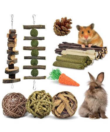 ERKOON Rabbits Chew Toys 8 Pack Chinchillas Small Animals Wooden Boredom Breakers Rabbit Chew Toys Chew Treat Teeth Care Molar Toys Apple Sticks for Bunny Hamster Guinea Pigs Gerbils