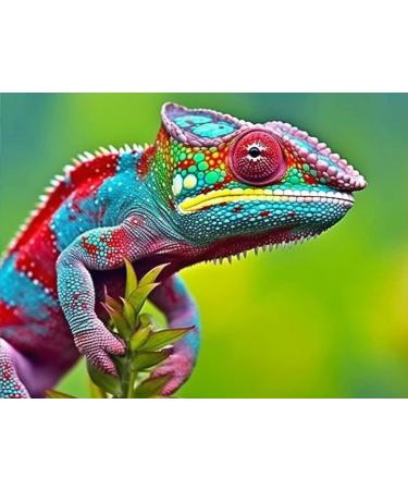 Diymood 5D Diamond Painting Animal  Paint with Diamonds DIY Diamond Art Colorful Lizard  Painting by Number Kits Full Drill Rhinestone for Home Wall Decor 12x16inch