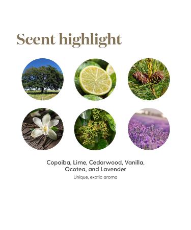 Young Living Stress Away Essential Oil Blend - Lime, Cedarwood, Vanilla & Lavender - 5ml - Buy Online on SooperMarket.com