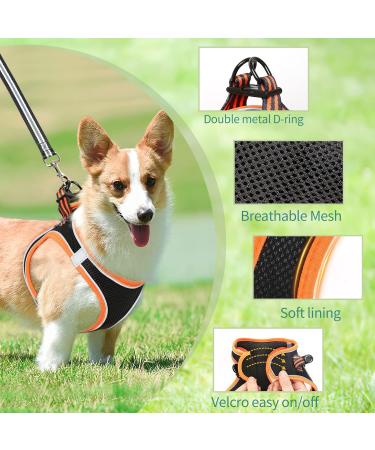 Buy Heele Dog Harness for Small & Medium Dogs - Adjustable Reflective Soft Mesh - Breathable & Comfortable - Perfect for Puppies - 2XS Size - Orange - Buy Online on SooperMarket.com