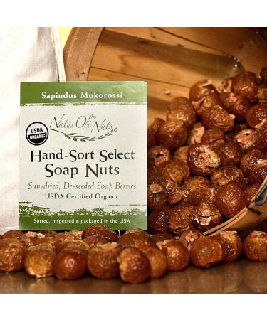 Organic Soap Nuts - 2 Lbs (480 Loads) | Eco-Friendly Laundry Soap + Travel Bottle & Wash Bags - International Shipping Available - Buy Online on SooperMarket.com