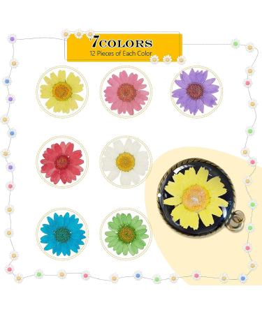 84 Pieces Real Dried Pressed Flowers - Natural Daisy Variety for DIY Crafts & Decorations - 7 Colors - Resin Casting, Jewelry, Candle, Soap Making Supplies - Buy Online on SooperMarket.com