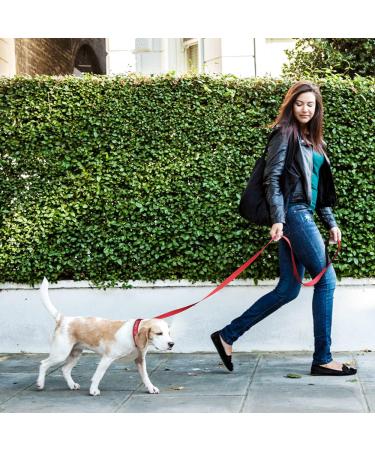 Personalized Reflective Dog Collar & Leash Set - Tagme 1.5m Double-Sided for Small Dogs - Red - Buy Online on SooperMarket.com
