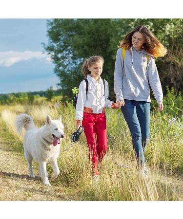 Etechydra Dog Retractable Leash 5m/16ft Gray - Heavy Duty Nylon Tape Leash with Anti-Bite Steel Chain for Medium Large Dogs - Buy Online on SooperMarket.com