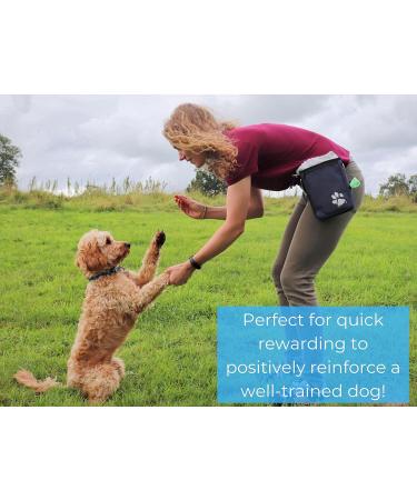 Pet Impact Eco-Friendly Dog Treat Pouch for Convenient Dog Walking - Essential Training and Wanderlust - Buy Online on SooperMarket.com