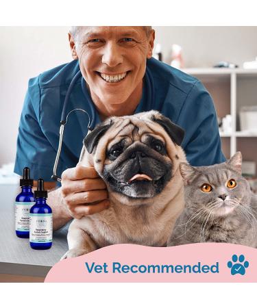 Prana Pets Respiratory Support Formula for Dogs and Cats - Promotes Optimal Respiratory Function - 1 Pack - Buy Online on SooperMarket.com