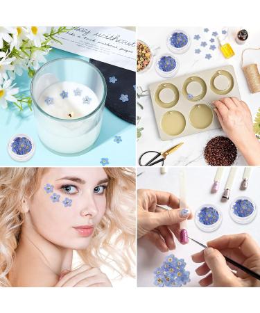 100 Pcs Natural Forget-Me-Not Dried Flowers for DIY Jewelry, Candle, Card Making - Real Pressed Flowers for Resin Ornaments & Nail Art Decorations - Buy Online on SooperMarket.com
