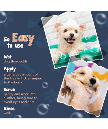 Shampoodle Sweet Orange & Tea Tree Dog Shampoo & Conditioner 500ml - Flea & Tick Repellent - pH Balanced Vegan Formula with Aloe Vera & Vitamin E - Buy Online on SooperMarket.com