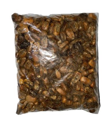 Maiz Tostado Para Elegua Roasted Corn For Elegua Santeria Ifa Osha 1/4 lb