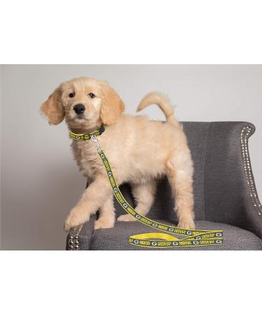 NFL Green Bay Packers Small Pet Leash by Pets First - Officially Licensed - Buy Online on SooperMarket.com
