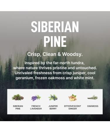 Shop Laundry Sauce Fabric Refresher Spray - Odor-Fighting Siberian Pine Scent 9.8 fl oz | International Shipping Available - Buy Online on SooperMarket.com