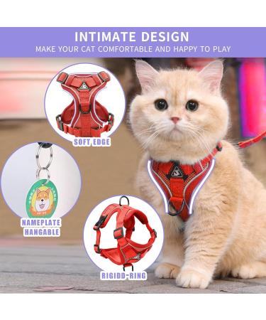 Buy Tikxlafe Adjustable Cat Dishes with Leash - 150 cm Polyester Cat Line Set for Kittens (Red Size S) - International Shipping Available - Buy Online on SooperMarket.com