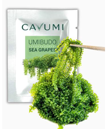 CAVUMI Sea Grapes 20gr / Sea grapes as a seaweed snack/Dried seaweed/Umibudo as crunchy green caviar