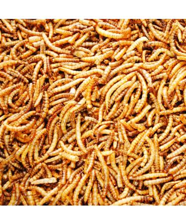 UK GROW 10L Premium value Dried Mealworms 10 litres (10L)
