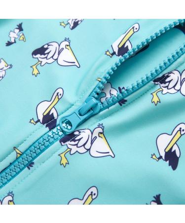 Bonverano Baby Boys Swimsuit - Pelican, 3-6 Months | UPF 50+ Sun Protection - Buy Online on SooperMarket.com