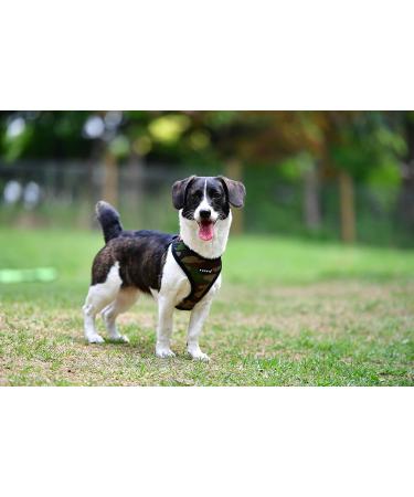 Puppia Dog Harness for Small & Medium Dogs - Soft & Colorful Multipurpose as Puppy Dish Anti-Tip Tableware - 60 Pack Camouflage - Buy Online on SooperMarket.com