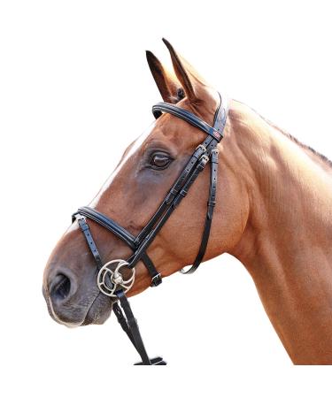 John Whitaker Barton Raised Flash Snaffle Bridle Black Cob