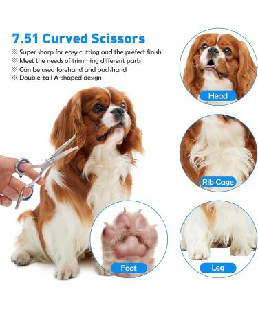 Premium Curved Dog Scissors - Stainless Steel Grooming Scissors for Dogs & Cats | Safety Round Pointed Design - Buy Online on SooperMarket.com